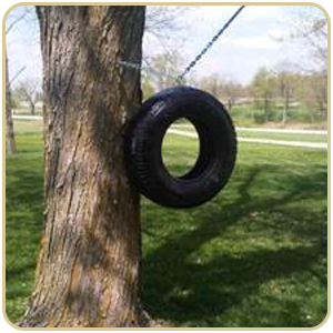 Tree Hugger holding tire swing